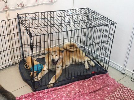 Клетка для собак металлические