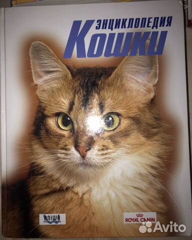 Энциклопедия Кошки. Авитодоставка+