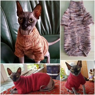 Тёплая одежда для сфинкса кошки питомца. Новая