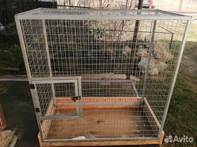 Клетка для птиц бу