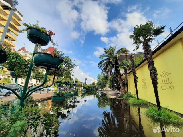 Экскурсии в Сочи