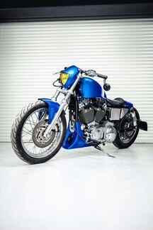 Harley davidson sportster 1200 custom