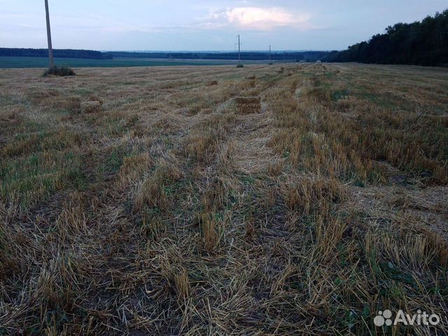 Сено в тюках