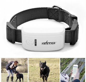 Gps трекер для собак TK909