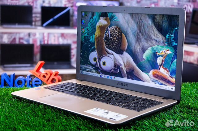 Ноутбук Asus для удалённой работы и отдыха