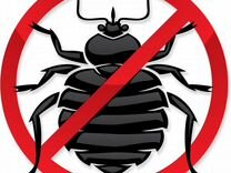 Дезинфекция-уничтожение насекомых клопов,тараканов