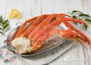 Конечности стригуна опилио в/м