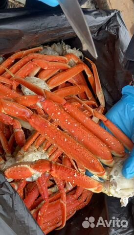 Краб стригун