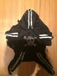 Костюм череп на осень для йорка