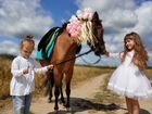 Конные прогулки, обучение, фотосессии с лошадьми объявление продам
