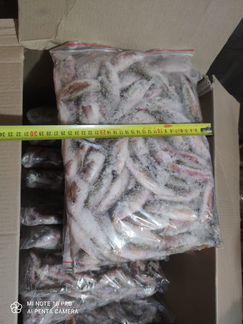 Рыба барабуля