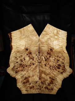 Кап тополя (топ для гитары)