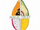 Инвестиции в ооо «Magic Fruit» - оптовые поставки
