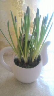 Керамический декоративный чайник