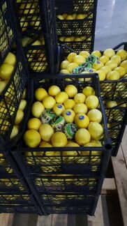 Лимоны Узбекские