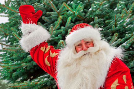 Дед Мороз Онлайн Выезд на дом