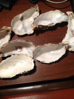 Ракушки б/у