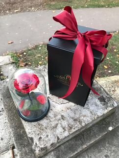 Стабилизированная роза в стеклянной колбе