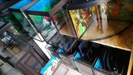 Аквариумы и террариумы от производителя