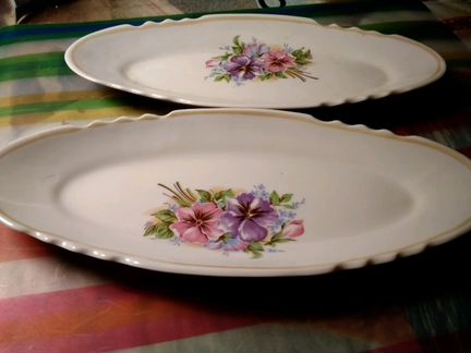 Селедочница дулево