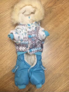 Комбинезон для собаки