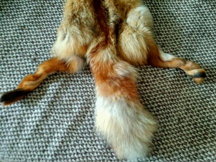 Рыжая лиса шкура горжетка мех