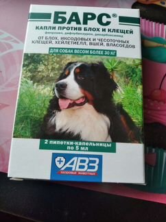 Барс от жука. Барс от клещей нового поколения. Барс от клещей с овчаркой. Капли Барс для собак от клещей фото.
