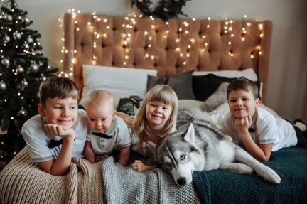 Хаски для фотосессии