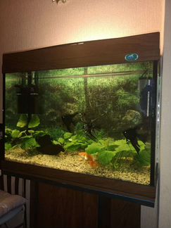 Аквариум с тумбой 100л