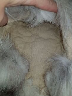 Шкура песца, шкурка песца