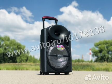 Портативная колонка для караоке Meirende MR-103