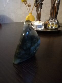 Лабрадор
